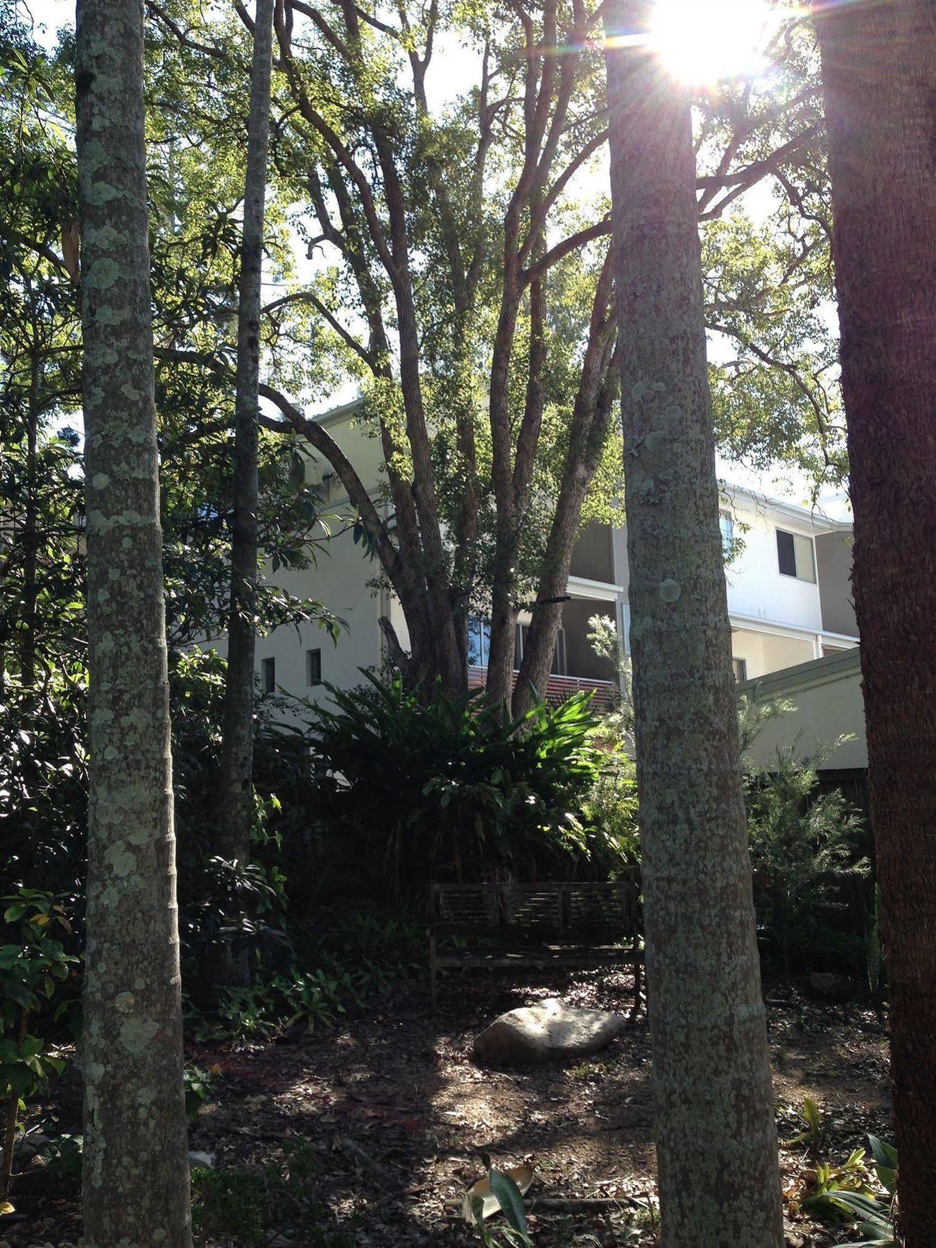Forest Lodge Apartments Brisbane Exterior foto